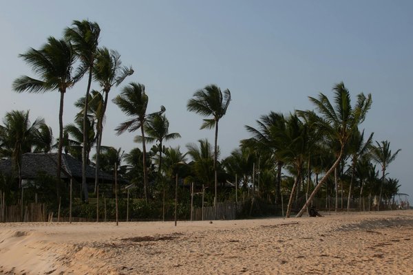 L'appel du rythme : vivre des vacances danses latines inoubliables
