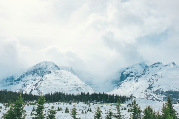 Quels sont les meilleurs itinéraires pour une randonnée dans les montagnes Rocheuses, Canada ?